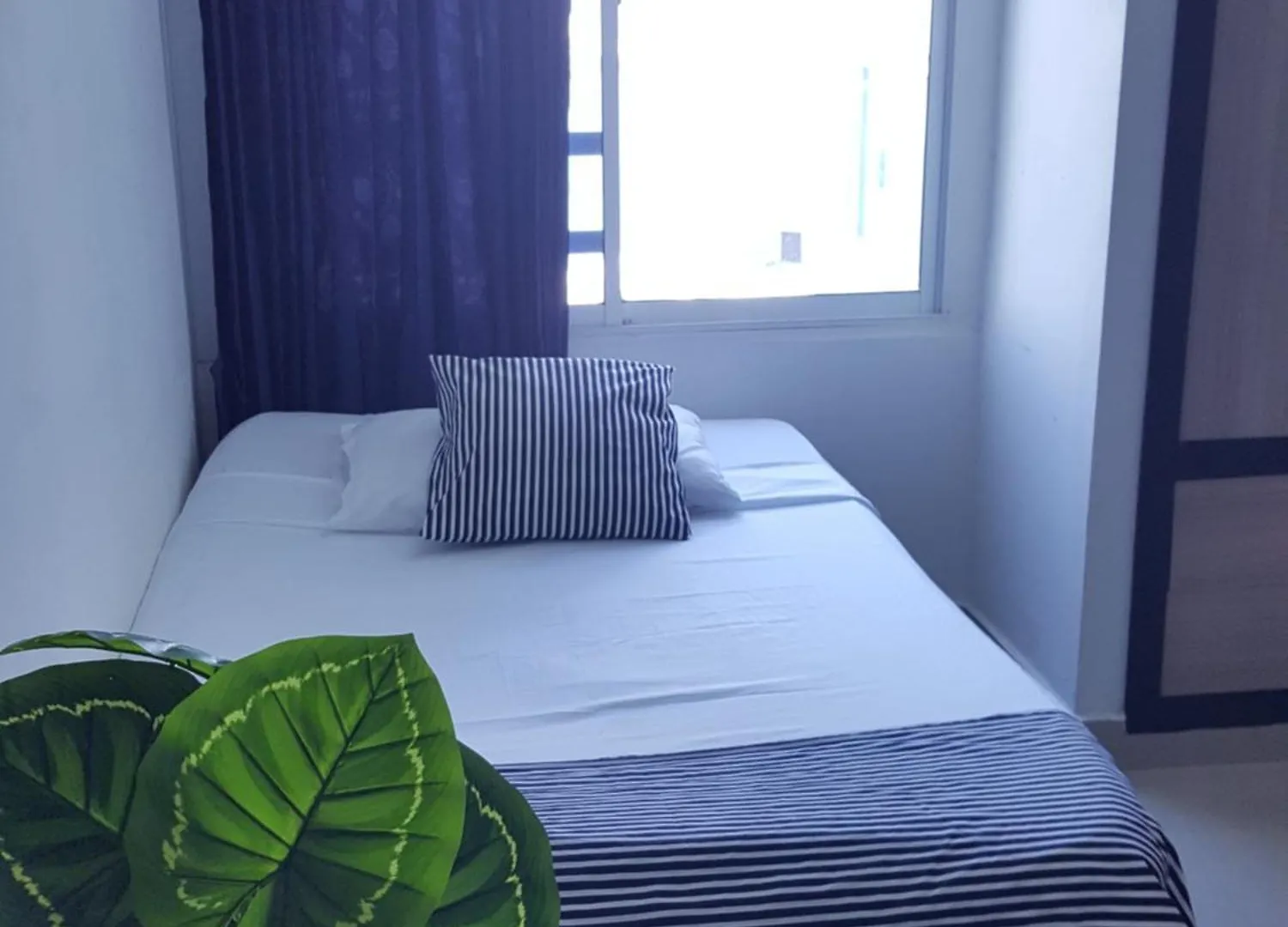 Apartamento Piso 12 Y 17 Welch Cartagena